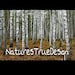 NaturesTrueDesign