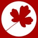 ANHELS Natura