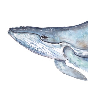 Humpback Whale Digital Print, Printable Wall Art, Watercolor Art ...