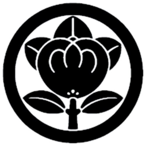 Trazita store logo