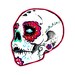 headcircus