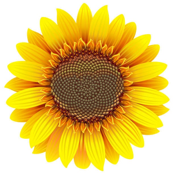 SunflowerAlleyFinds - Etsy