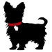 MidwestMorkie