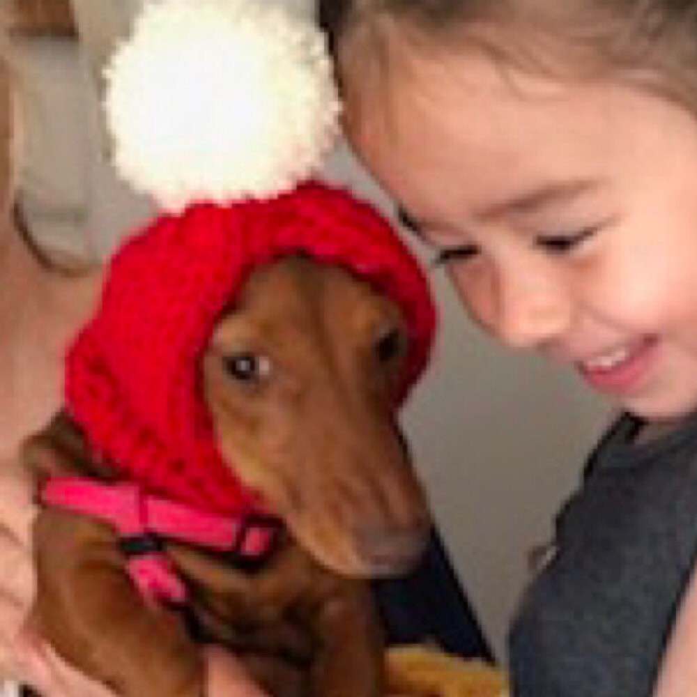 big lebowski dog sweater