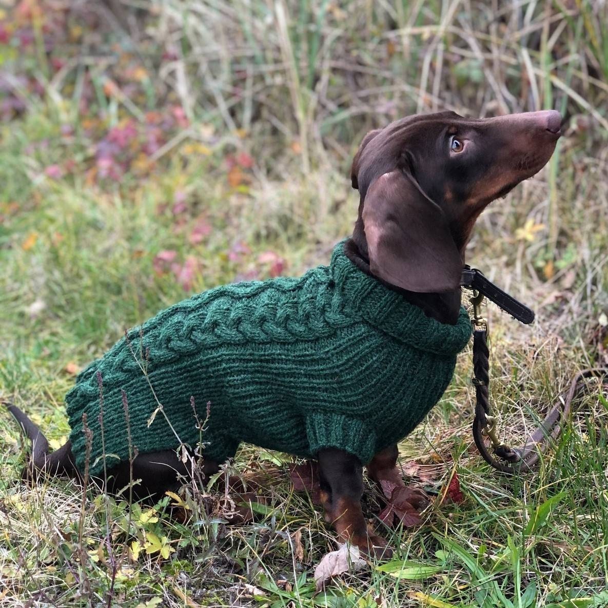 Zakenman Langwerpig hefboom Handgemaakte Aran teckel trui - Etsy België