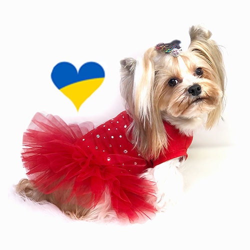 Cutiefashiondog store logo