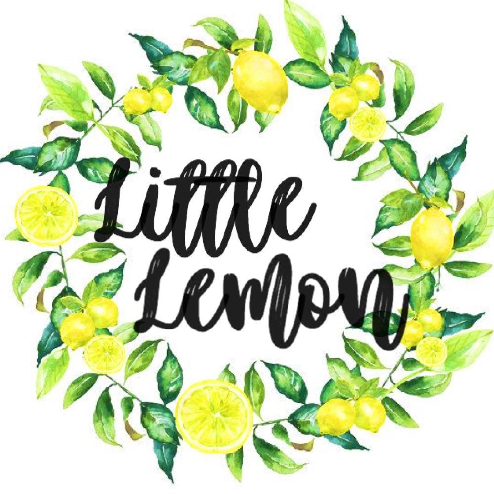 LittleLemonSlimeShop - Etsy