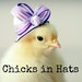 Avatar belonging to chicksinhats