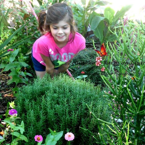ZellajakeFarmGarden