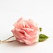Floren