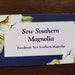 Owner of <a href='https://www.etsy.com/shop/SewSouthernMagnolia?ref=l2-about-shopname' class='wt-text-link'>SewSouthernMagnolia</a>