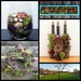 Owner of <a href='https://www.etsy.com/shop/SoSucculent?ref=l2-about-shopname' class='wt-text-link'>SoSucculent</a>