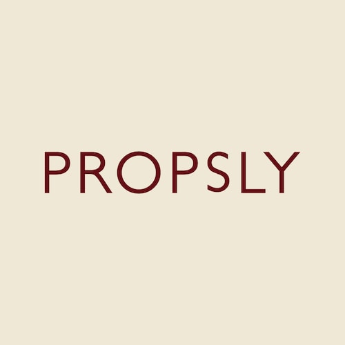 Propsly store logo