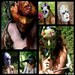 DragonsLairMasks