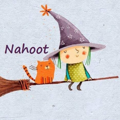 NahootDesignShop store logo