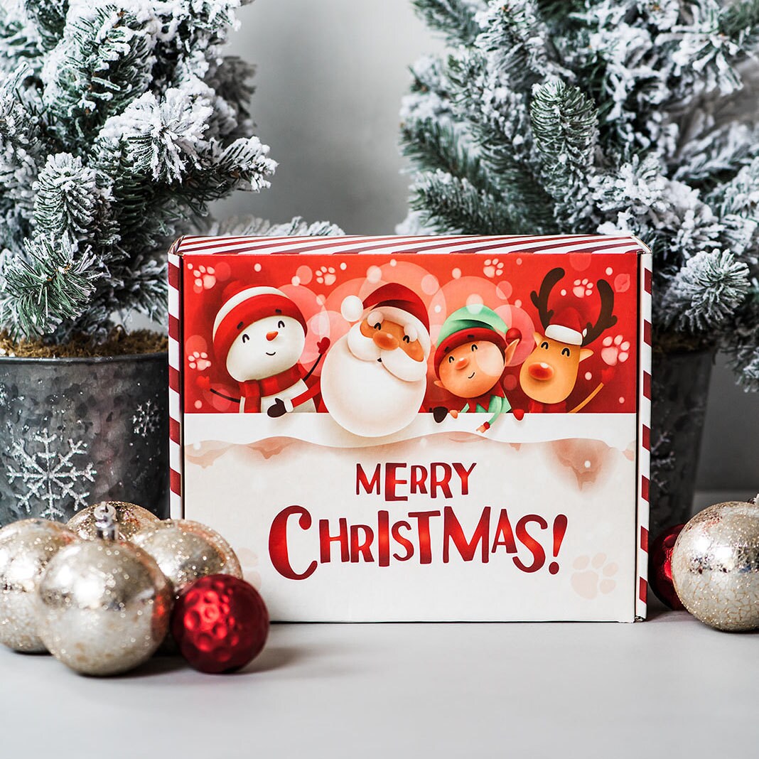Buy Christmas Eve Box Christmas Eve Activity Santa Key Online in ...