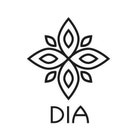 DIAinDIA