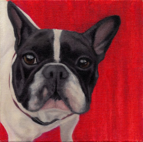 Whimsical Animal Art Paintings Prints Cards & More by DanaFeagin