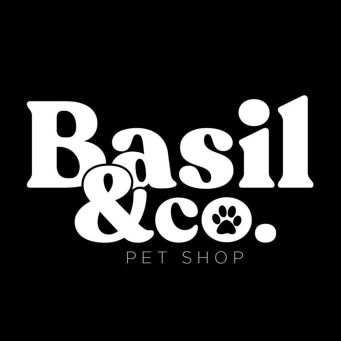 Striped Colorful Dog Leash Stripy Coloured Pattern Dog Lead Etsy