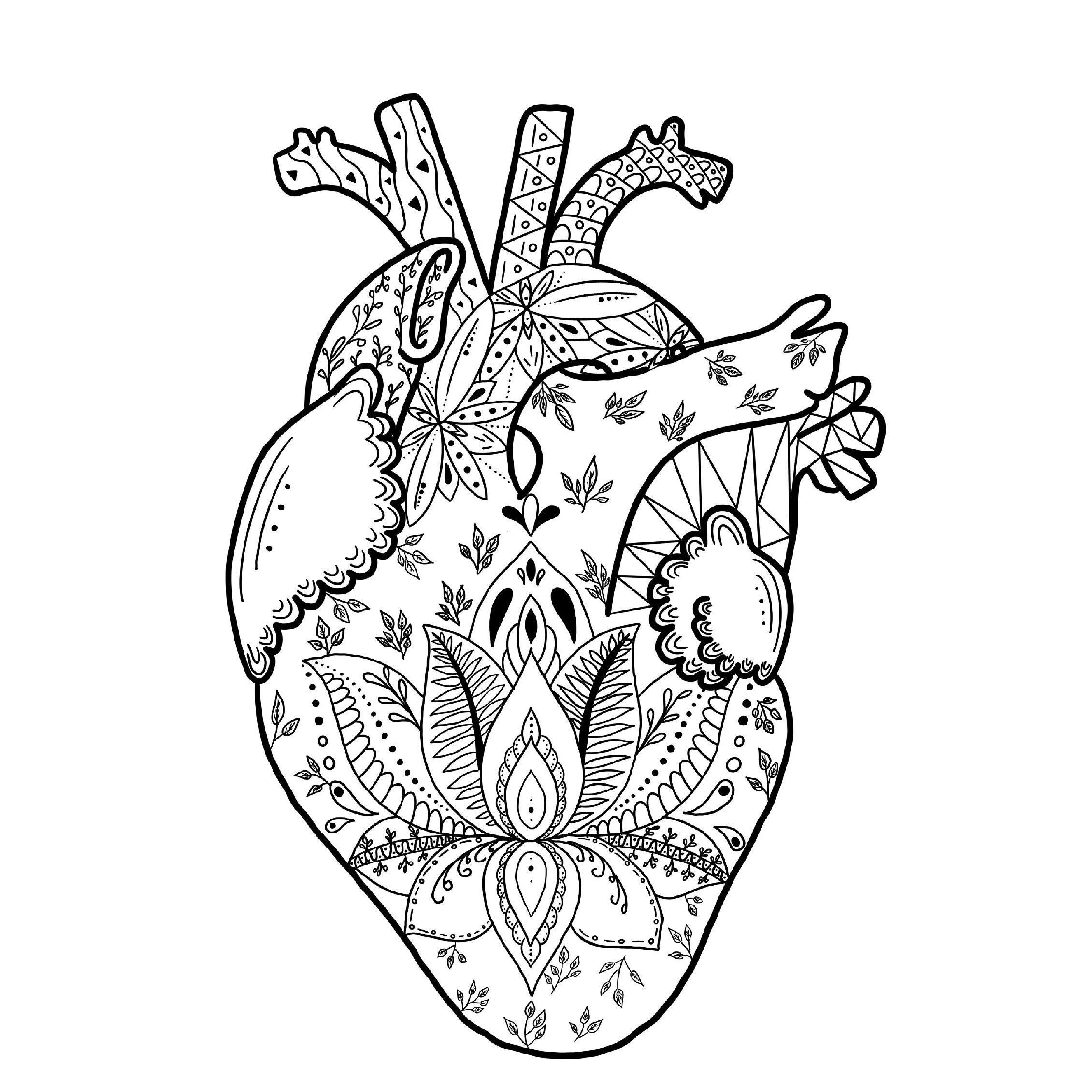 Anatomie Herz Rot Anatomie Geschenk Herz Anatomie Student Etsy