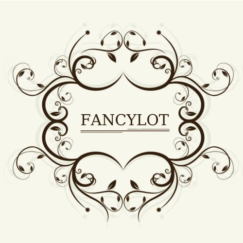 Fancylot store logo
