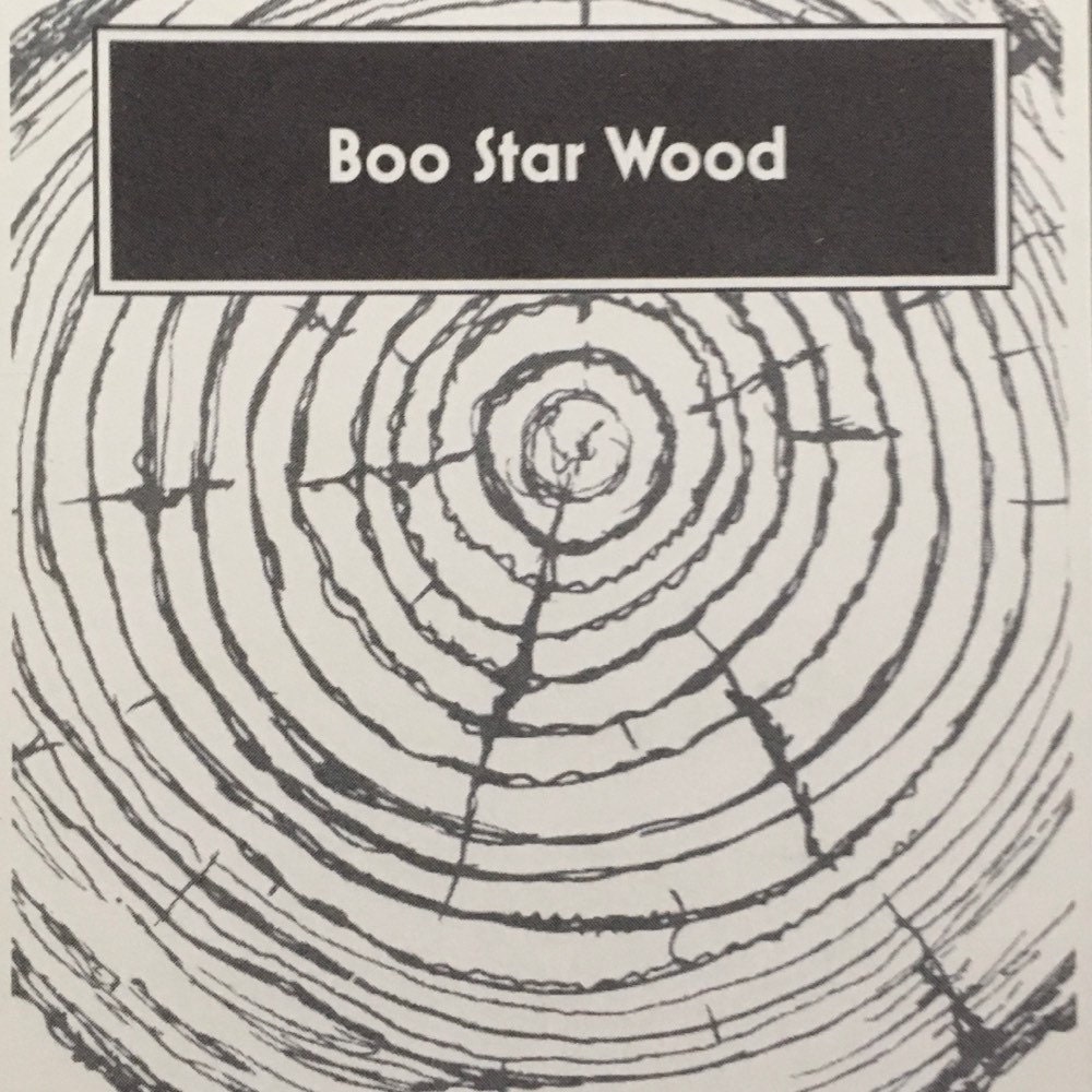 Ready to Decorate Wood cutout Craft SupplySanded Multiple Sizes Native