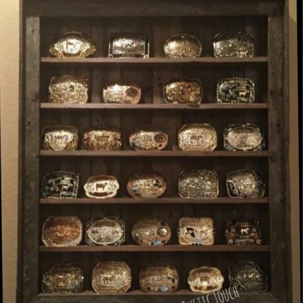 Belt buckle case deals