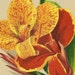 HeirloomFlowers