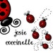 Propriétaire de <a href='https://www.etsy.com/fr/shop/JosieCoccinelle?ref=l2-about-shopname' class='wt-text-link'>JosieCoccinelle</a>