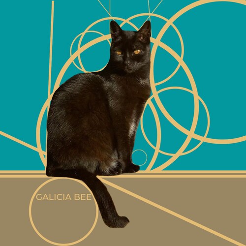 Galiciabee store logo