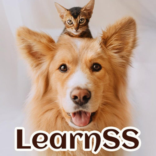 LearnStationSone store logo
