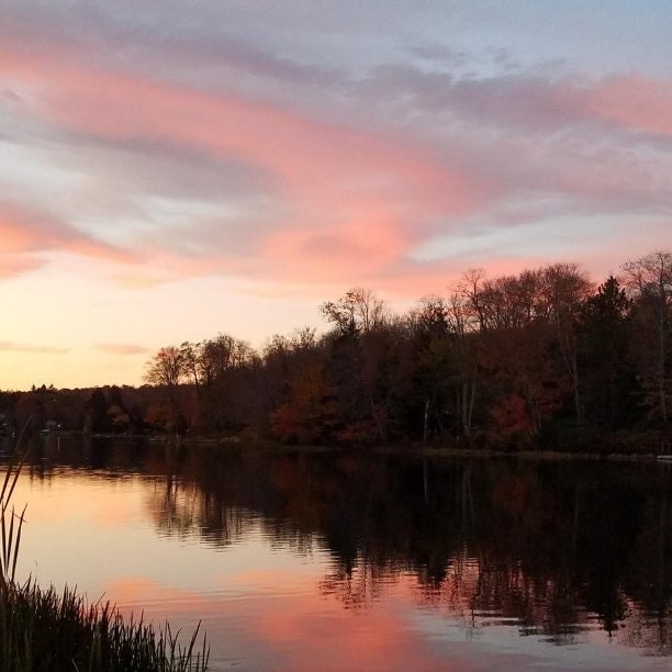 LakeMuskodayStore Etsy