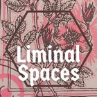 LiminalSpacesShop