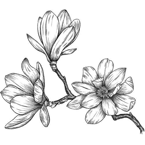 clipart spring flowers black and white drawings
