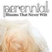 PerennialRose