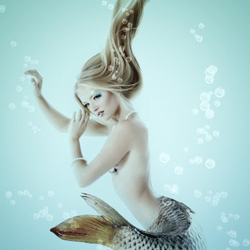 MermaidsLoveByNicole store logo