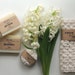 Propriétaire de <a href='https://www.etsy.com/ca-fr/shop/RightSoap?ref=l2-about-shopname' class='wt-text-link'>RightSoap</a>