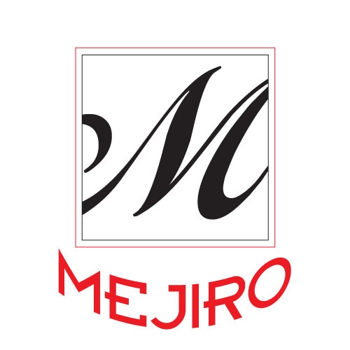 Mejiro Co. Kintsugi Repair Kit for Pro with Genuine Gold Powder