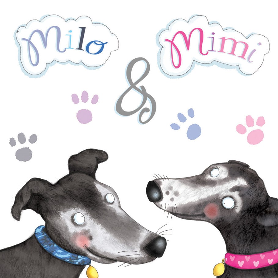 Mimi dog collars cheap