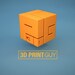 Print Guy