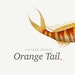 Owner of <a href='https://www.etsy.com/shop/OrangeTail?ref=l2-about-shopname' class='wt-text-link'>OrangeTail</a>