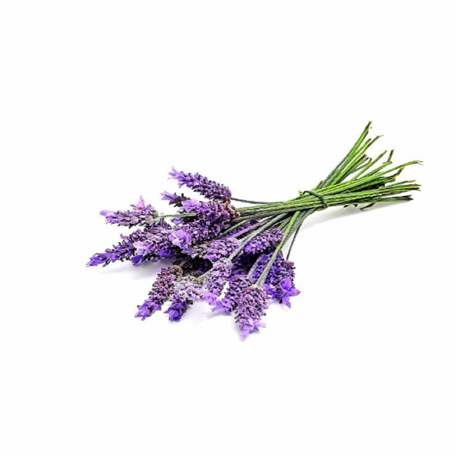 Doterra Hawaiian Sandalwood Essential Oil 5 Ml Bottle - Etsy