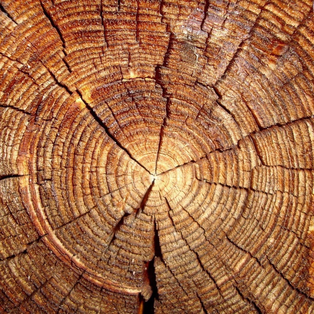 Mensola angolare sospesa, Mensole in legno a cuore, Serra, Mensole angolari  rustiche bianche, Organizzatore di stoccaggio, Decorazione per la casa,  Fatto a mano, Mensola da cucina -  Italia