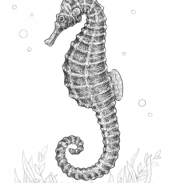 Free Free Where The Money Reside Svg 255 SVG PNG EPS DXF File