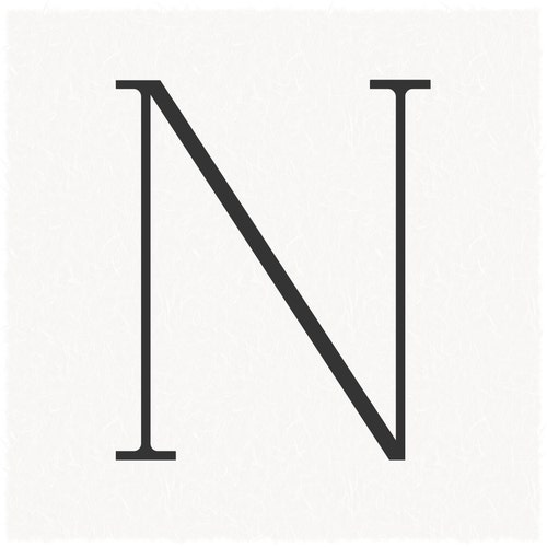 NStudioDigitalArt store logo