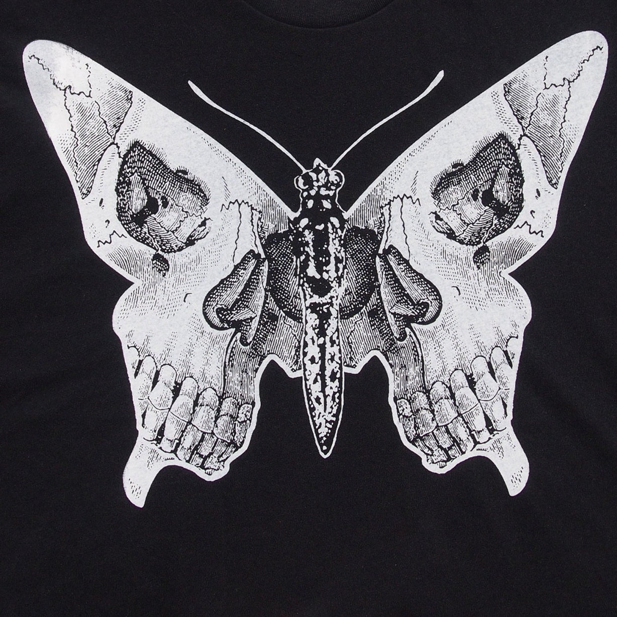 бабочка скелетон. скелет бабочки. скелет бабочки. бабочка с черепом. скелетная бабочка.