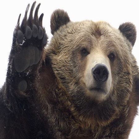 VintageCollectionOld - Etsy