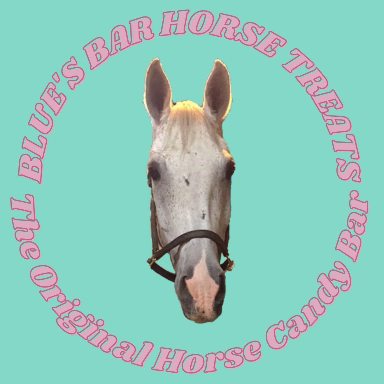 Horse Name Plate Stall Card Printable Download Horse Stall  Etsy