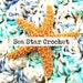 Sea Star Crochet