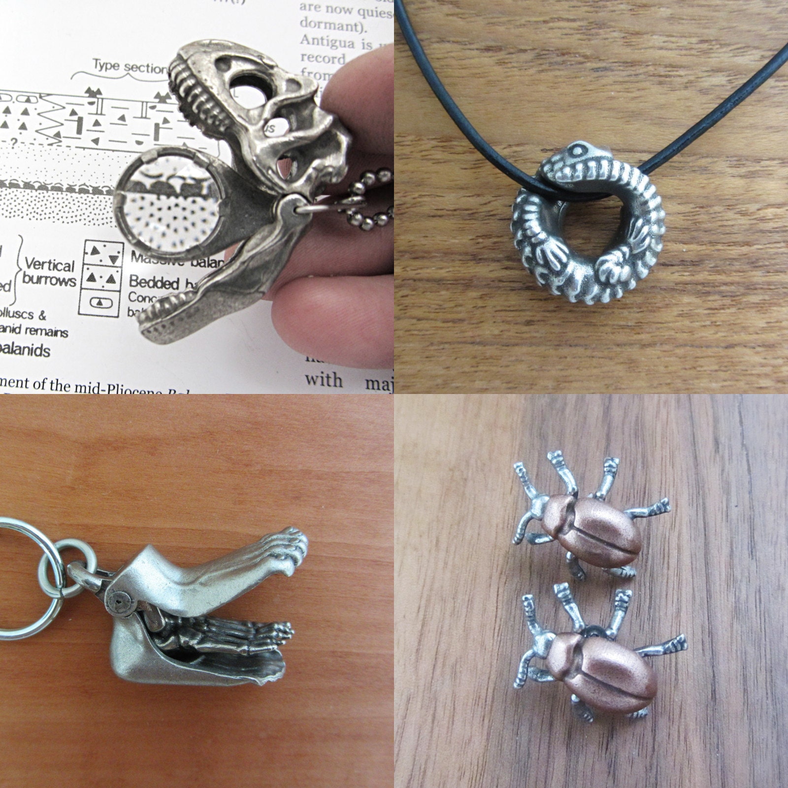 Trilobite Concretion Pendant Eldredgeia venustus Trilobite Nodule Necklace Trilobite Concretion Pendant Eldredgeia venustus Trilobite Nodule Necklace